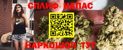 мдпв Дубна