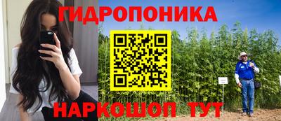 мдпв Дубна