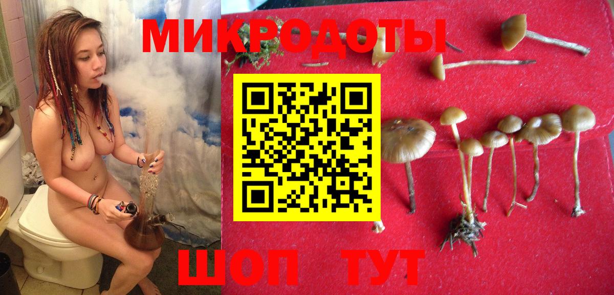 Псилоцибиновые грибы Psilocybe Мыски