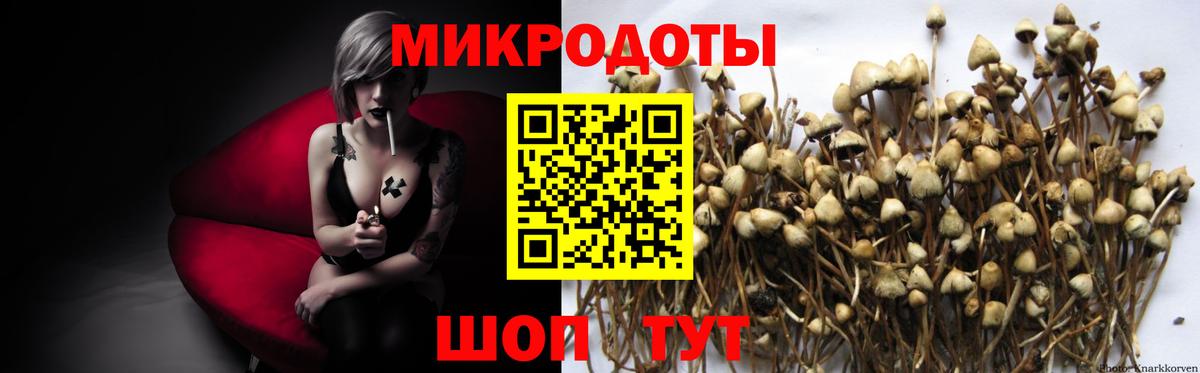 Галлюциногенные грибы Psilocybine cubensis  Псилоцибиновые грибы Psilocybine cubensis  Вход с VPN  Мыски 