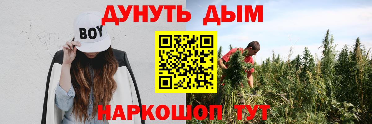Шишки марихуана тримм  Бошки Шишки AK-47  Вход с VPN  Мыски  Марихуана тримм 